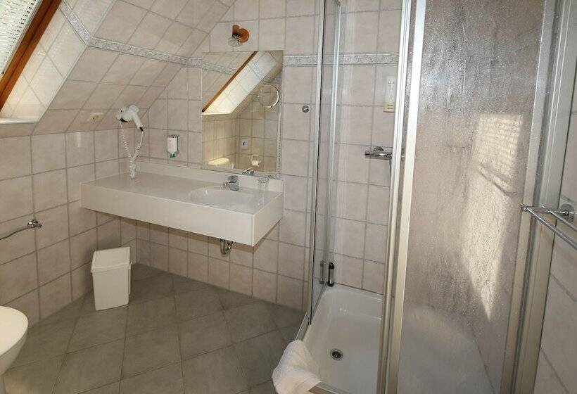 Номер Стандарт, Wenzels Hof