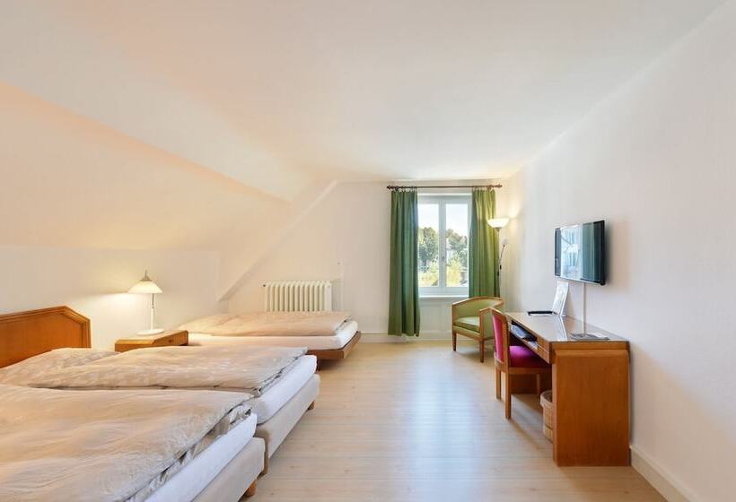 Номер Стандарт Трехместный, Hôtel De L Aigle