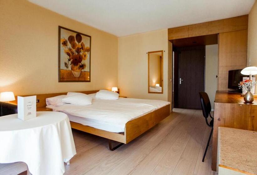 Номер Стандарт Индивидуальный, Hôtel Le National