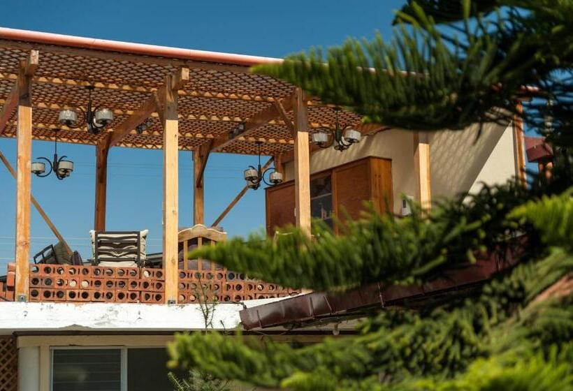 اتاق استاندارد, Vintage Casa Las Flores