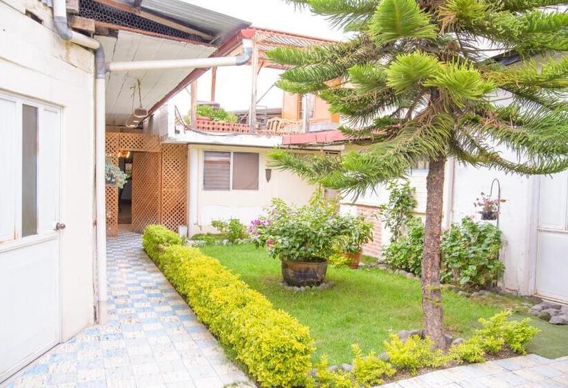 اتاق خانوادگی, Vintage Casa Las Flores