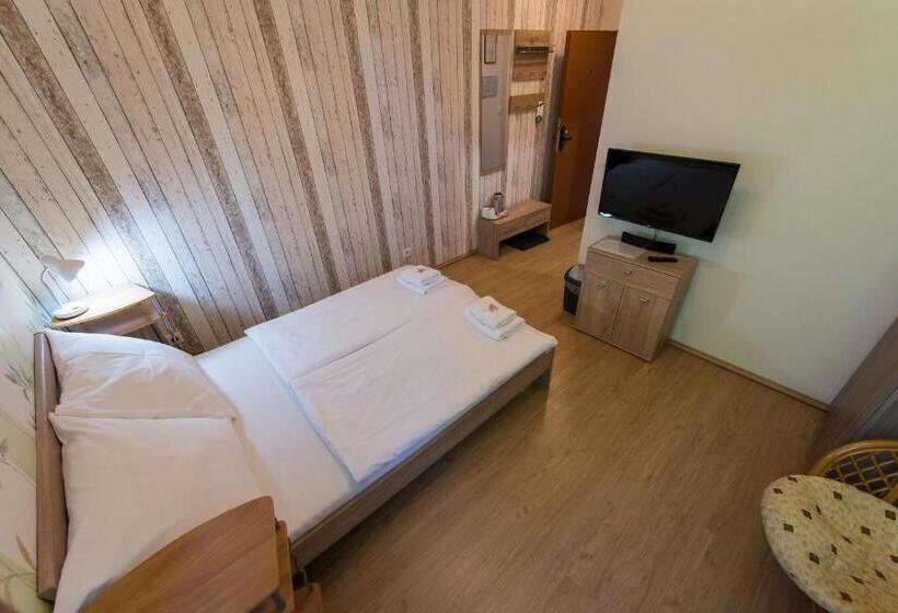 غرفة قياسية, Penzion Na špičáku