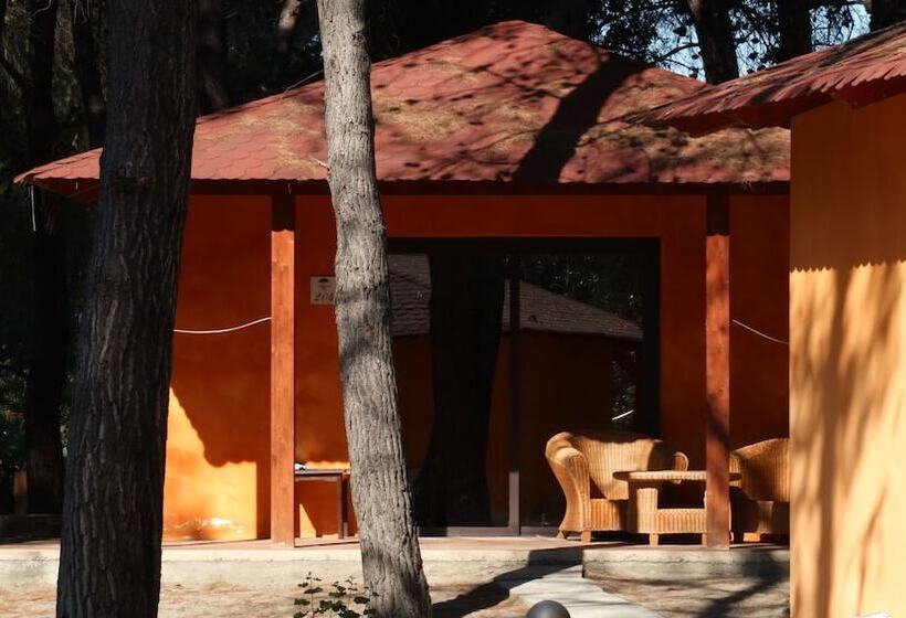Четырехместный Номер Superior, Club Nature Village