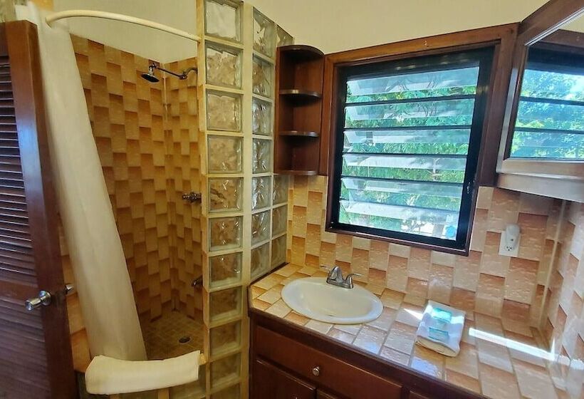 דירת חדר בסיסית, Maya Beach