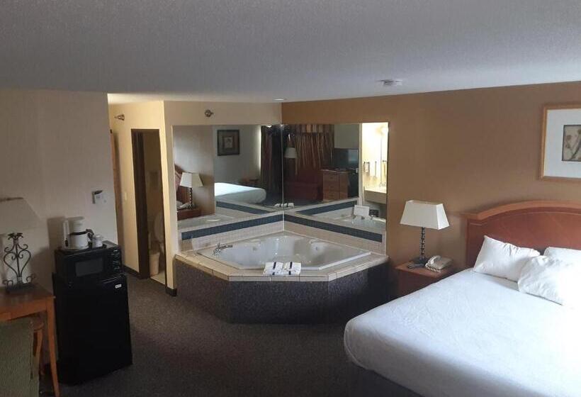 Люкс, American Inn And Suites Ionia