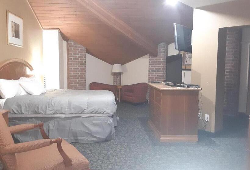 Президентский Люкс, American Inn And Suites Ionia