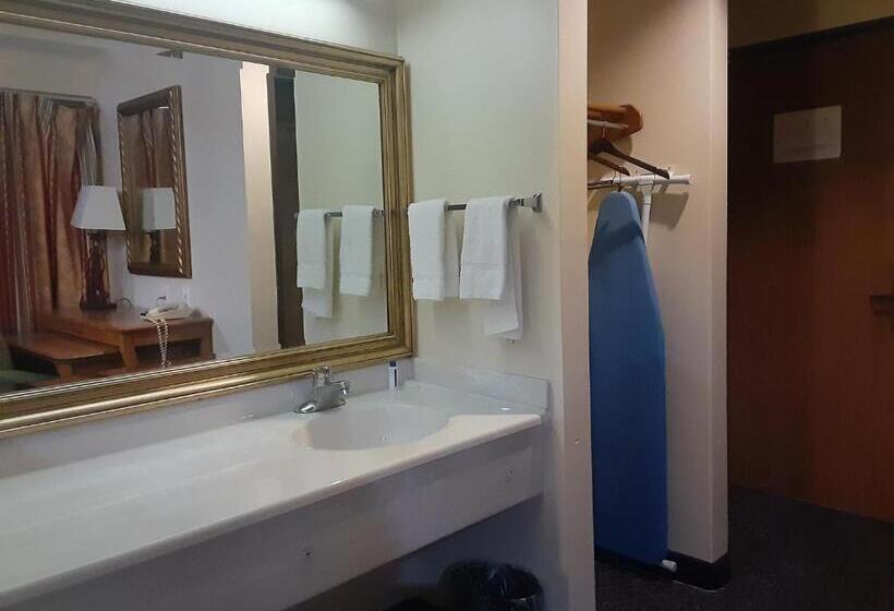 Президентский Люкс, American Inn And Suites Ionia