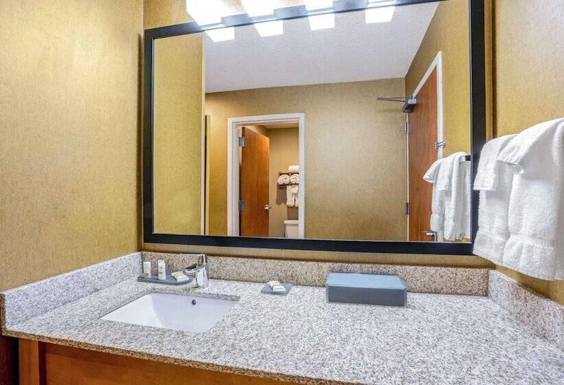 Номер Deluxe Адаптированный для Инвалидов, La Quinta By Wyndham Coeur D`alene