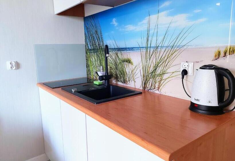 Студия Стандарт, Apartamenty Sun & Snow Sanatoryjna