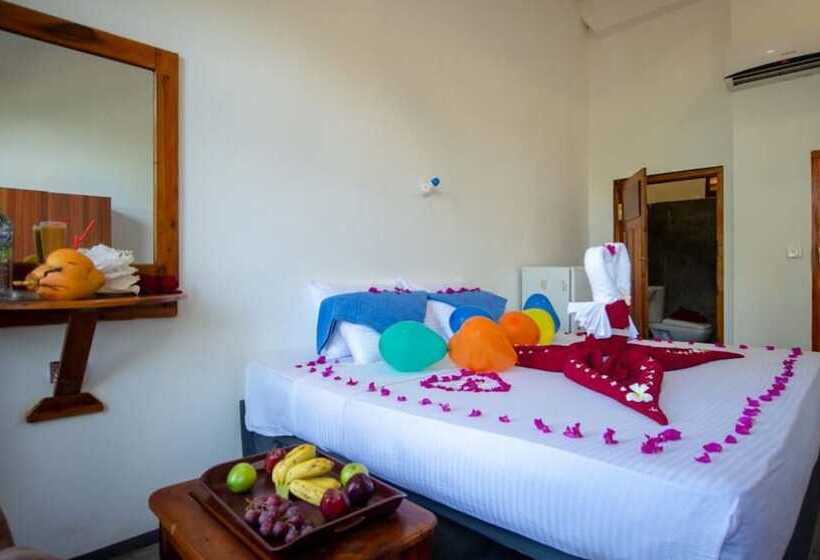 اتاق خانوادگی, The Surf Access Guest House