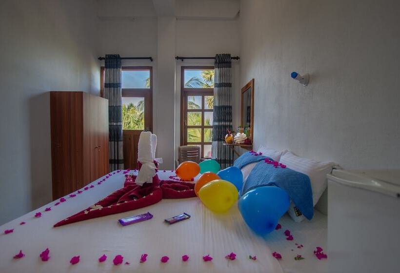 اتاق خانوادگی, The Surf Access Guest House