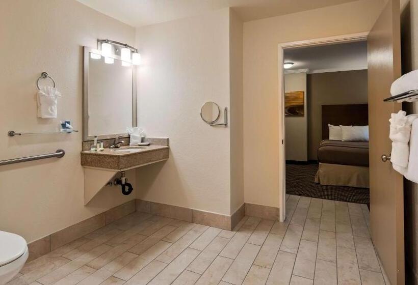 适合残疾人士使用的带超级大床的标准间, Best Western John Muir Inn