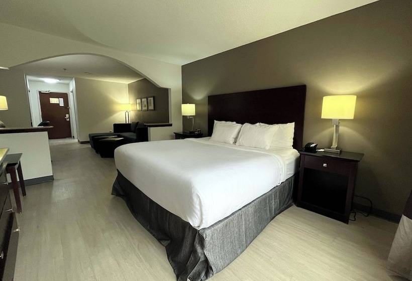 Люкс, Comfort Suites Milledgeville
