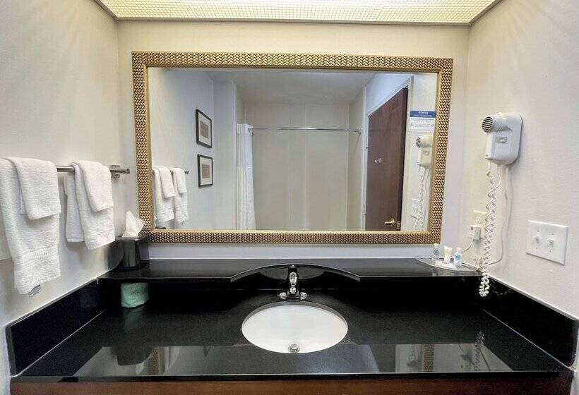 Люкс, Comfort Suites Milledgeville