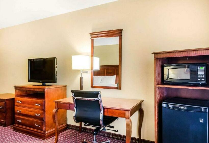Стандартный Номер Кровать Кинг, Quality Inn & Suites