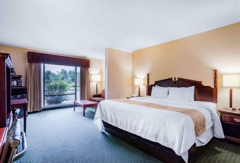 Номер Superior Кровать Кинг, Quality Inn & Suites