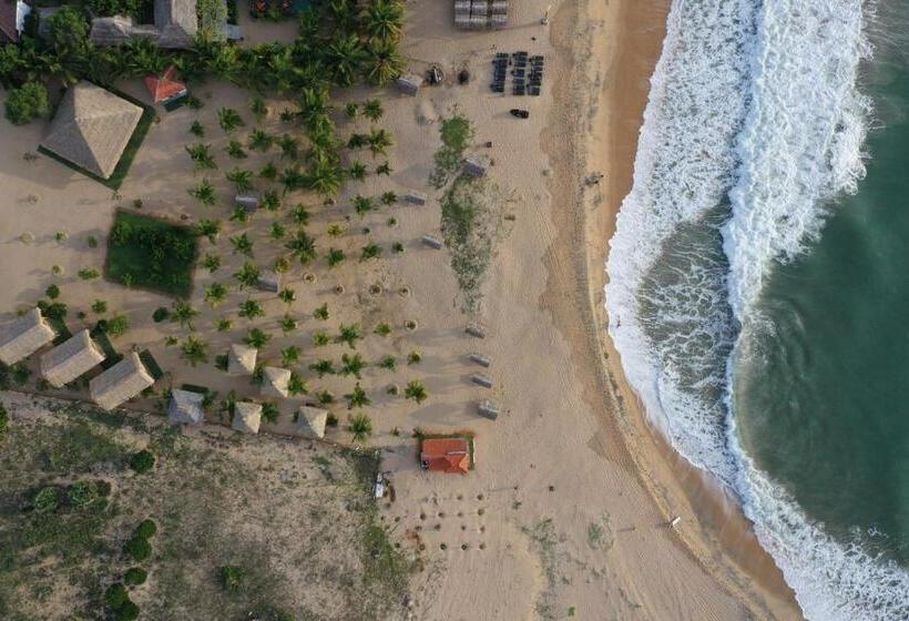 Номер Economy, Whisky Point Resort