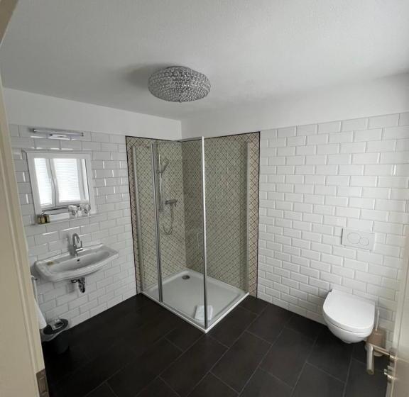 Номер Deluxe, Brauereigasthof Bären
