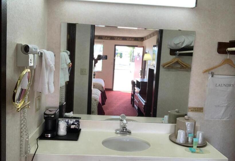 Номер Deluxe Кровать Кинг, Regency Inn