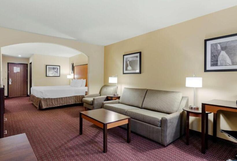 Люкс Кровать Кинг, Best Western Cascade Inn & Suites