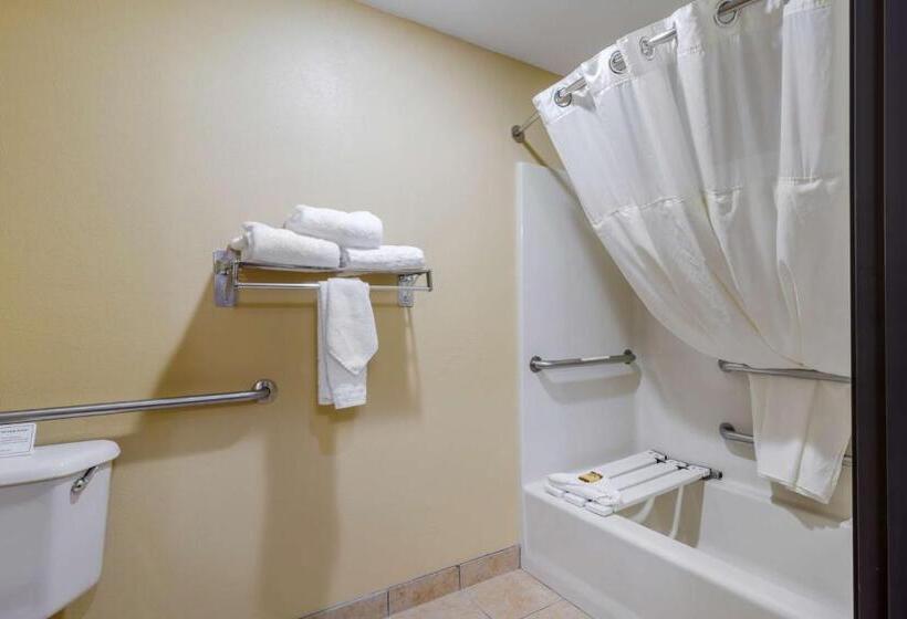 Номер Стандарт Кровать Кинг Адаптированный для Инвалидов, Best Western Cascade Inn & Suites