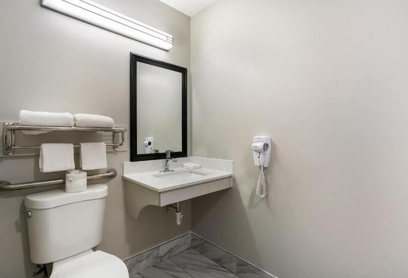 Номер Superior Адаптированный для Инвалидов, Red Roof Inn Denver