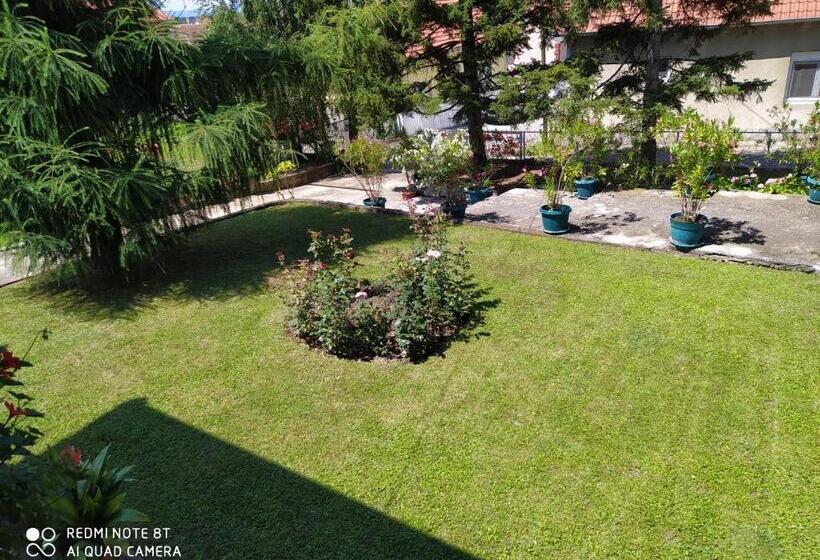 آپارتمان 1 خوابه همکف, Apartment & Rooms Aleksandar