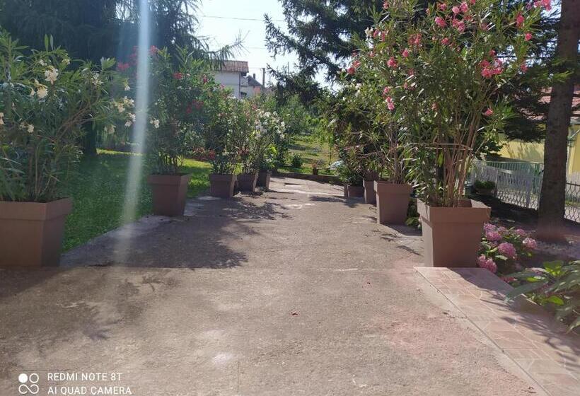 اتاق استاندارد سه تخته با سرویس بهداشتی مشترک, Apartment & Rooms Aleksandar