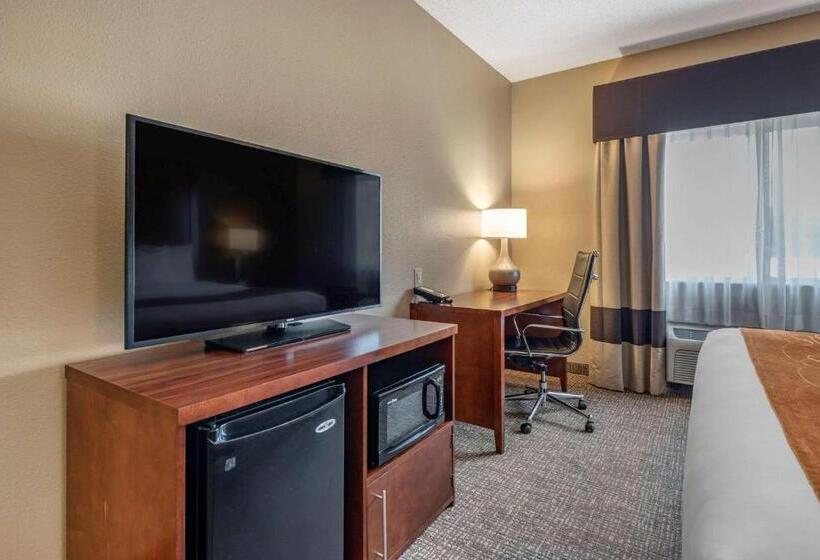 Suite Łóżko King Size, Comfort Suites Terre Haute University Area