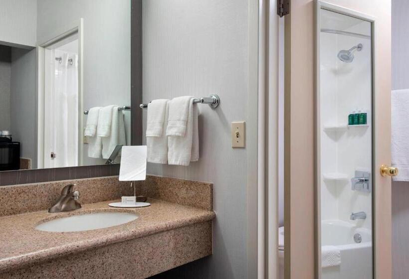 Номер Стандарт Адаптированный для Инвалидов, Courtyard By Marriott Fishkill