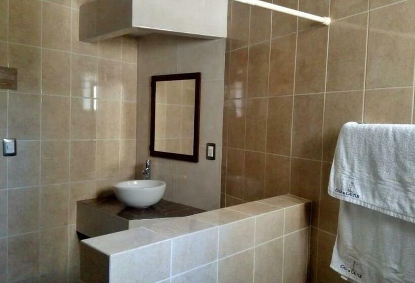 غرفة قياسية, Casa De Cactus