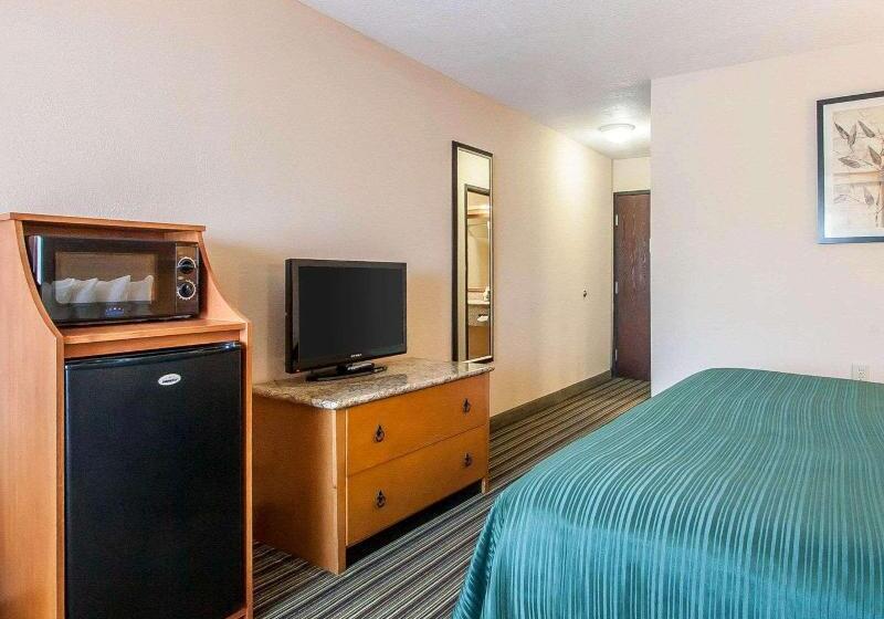 带大床的标准间, Econo Lodge Inn & Suites