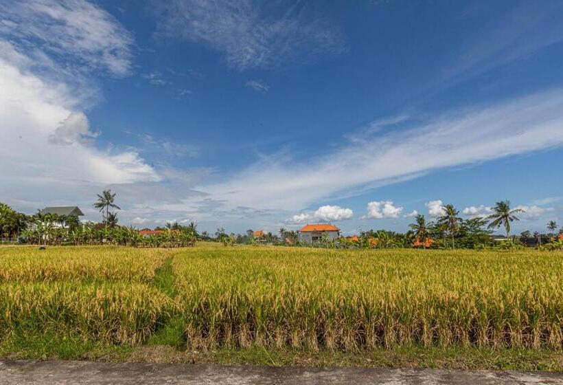 Номер Deluxe с Видом, D Jineng Rice Terrace Canggu