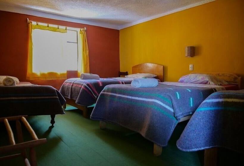 Семейный Номер, B&b Sun Gate