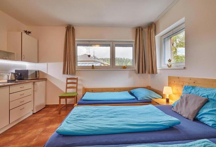اتاق استاندارد, Skipension