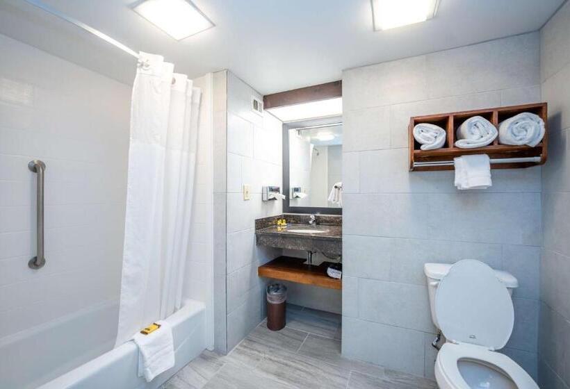 Стандартный Номер Кровать Кинг, Best Western Plus Houston Energy Corridor