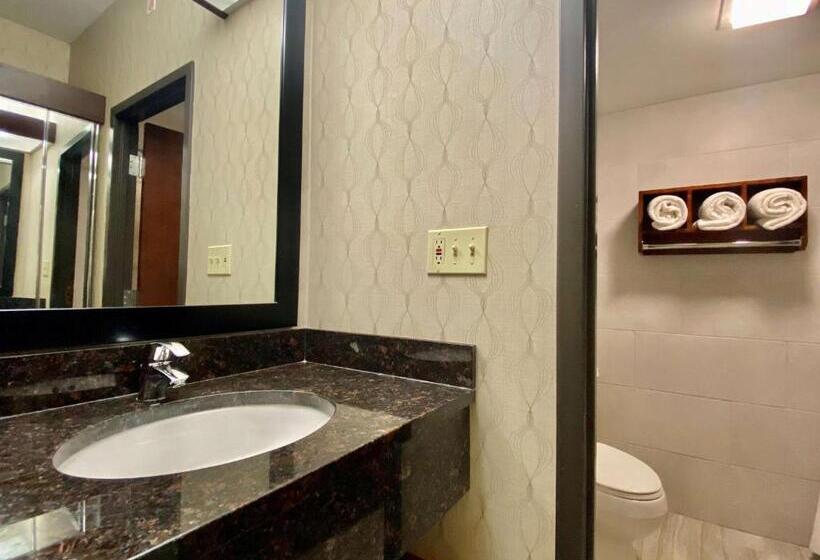 Номер Стандарт, Best Western Plus Houston Energy Corridor