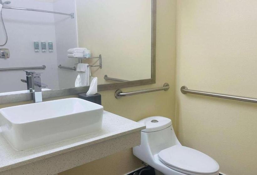 장애인을 위한 킹사이즈 침대 스탠다드 룸, Best Western Kokomo