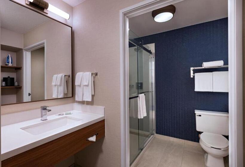 Номер Deluxe Кровать Кинг, Fairfield Inn & Suites Kansas City Airport