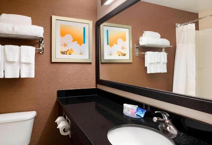 스탠다드 룸 킹사이즈 침대, Fairfield Inn & Suites Minneapolis St. Paul/roseville