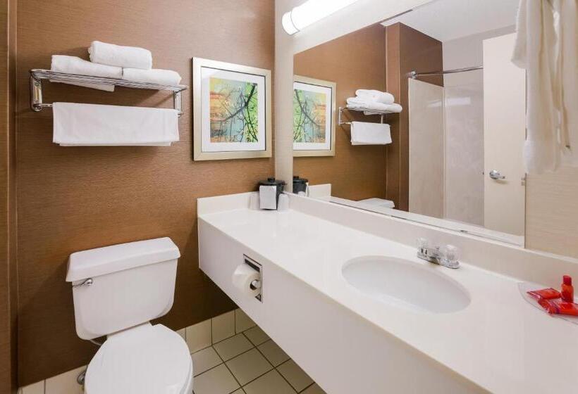 스탠다드 룸 킹사이즈 침대, SureStay Plus by Best Western Minot