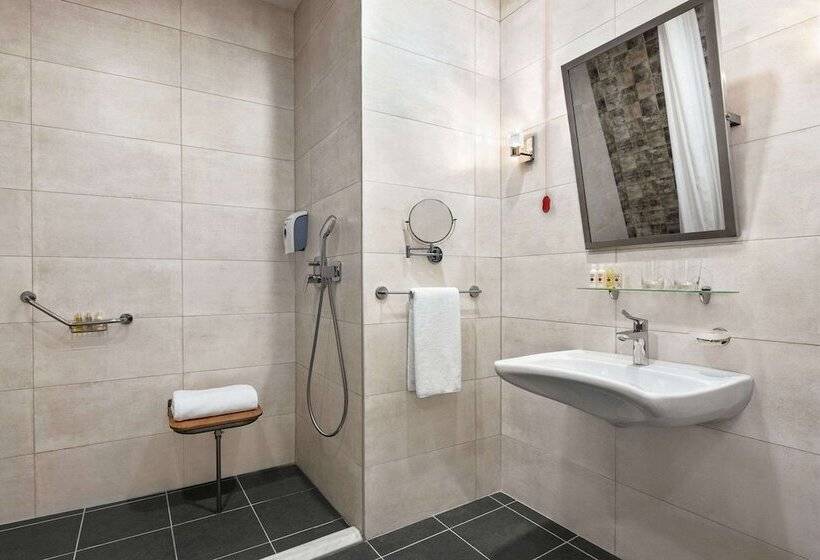 اتاق استاندارد برای معلولان, Tryp By Wyndham Istanbul Topkapi