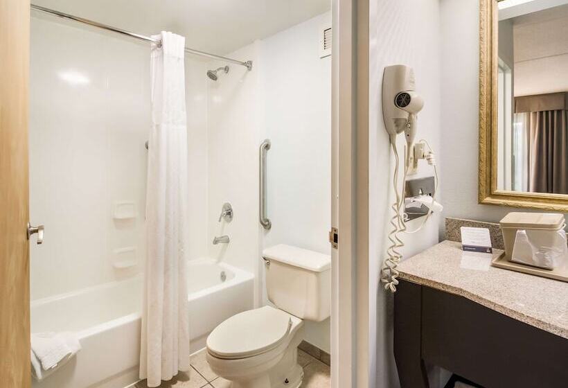 스탠다드 룸 더블 침대 2개, Clarion Inn Cleveland Near University