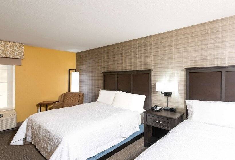 Номер Стандарт 2 Двуспальные Кровати, Hampton Inn Holland