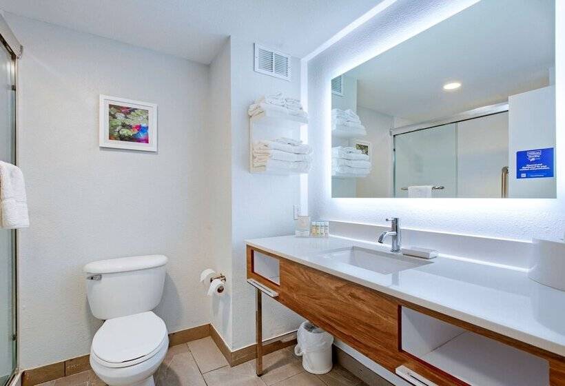 Люкс, Hampton Inn Slidell
