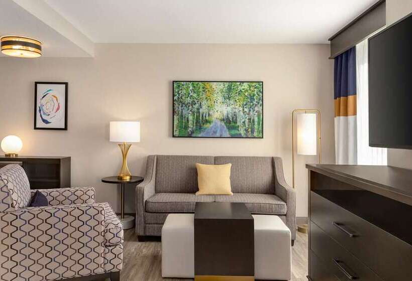 Студия Стандарт, Home2 Suites By Hilton Dfw Airport South/irving, Tx