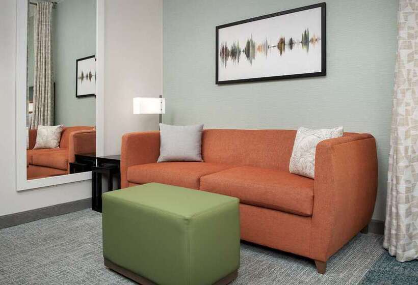 Студия Стандарт, Home2 Suites By Hilton Dfw Airport South/irving, Tx