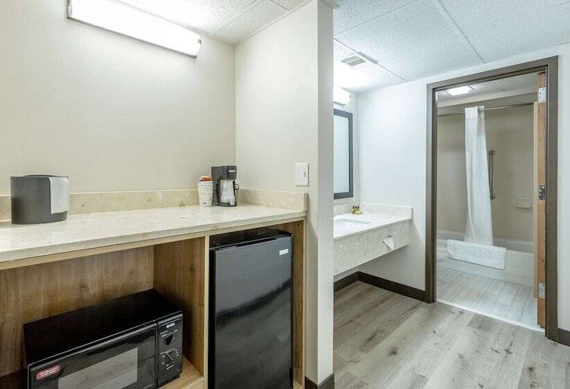 Suite, Comfort Inn & Suites Chattanooga East Ridge
