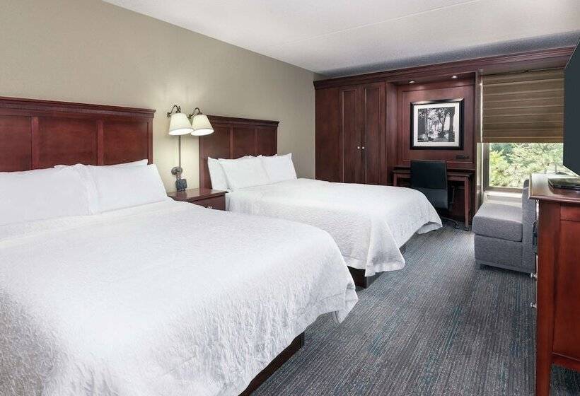 Standard-huone 2 Parivuodetta, Hampton Inn By Hilton Indianapolis South