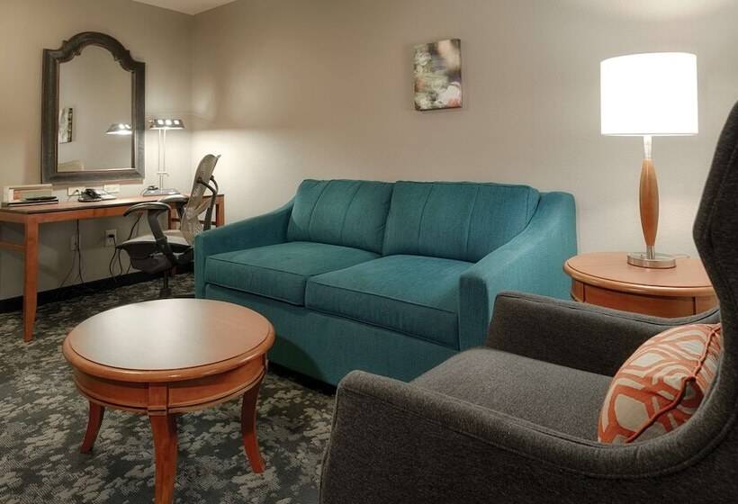 Люкс, Hilton Garden Inn Cleveland/twinsburg
